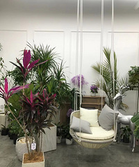 ��������ʳ������һ�һ��꣬ͬʱҲ��һ����Ʒ��