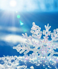 84�����MM��Ѱ80-87��172+���Ľ�������������