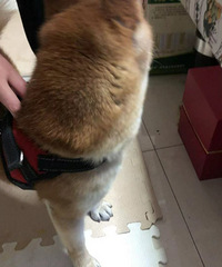 ˭��С��Ȯ�߶���