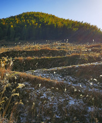 ��ɽ��ѩ��ȥ���Ͱ���ѩ����ѩƱҪ260