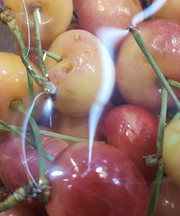 �ʹ��Ͱ͵ĳ����ӣ��������ȫ�������õ�?