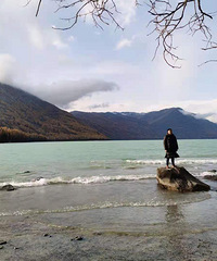 2020ܽ᡿һγԳɣ15%