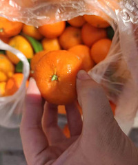 ƴ�ŵ�ɰ���ٵ�Ա��Ҫ������һ��������һ��ֻ������