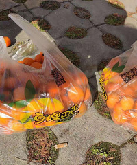 ƴ�ŵ�ɰ���ٵ�Ա��Ҫ������һ��������һ��ֻ������