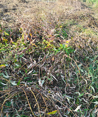 2020ܽ᡿űײϰ˸߹ǣû˴ݷ賤