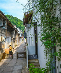 ��ҹ���Σ��ٺ����������޳ɹ�����Ϊ���ޡ�����