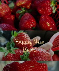 �о��������ĳɳ�������2021���ҵļƻ����Ǽ���