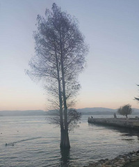 ��2020�����ܽ᡿����û���������ˣ�ȴ�����������ĺ��ʡ���