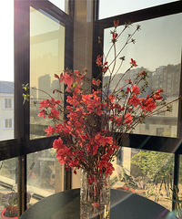 ��2020�����ܽ᡿һ���˳���ֲ�ס��β�ĳ����������ϰ忪��