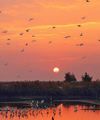 ����~̨�����������꣡������ô�������պ�