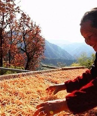 ������æ��̨����ҲҪæ��ɹ~ɹ~ɹ~