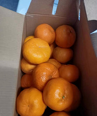 �ٺ������ڲ��ֶ���վ��16Ԫ���������