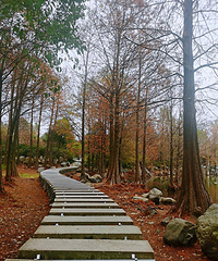 ��2020�����ܽ᡿���������ˣ������ˣ���������