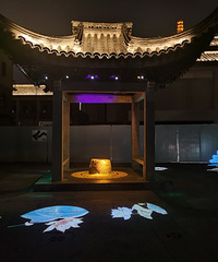 ��2020�����ܽ᡿���������ˣ������ˣ���������