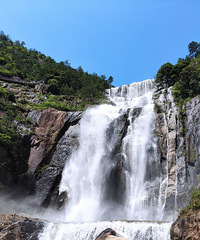 ��2020�����ܽ᡿�վ����������˶��죬ĸ�����궼û����