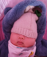 ��2020�����ܽ᡿��̥�����������ѡ����о���������衱