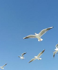 ��2020�����ܽ᡿��������������ڣ�ȴҲ׬����ô�࣬����