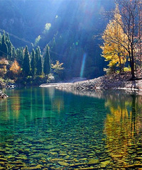 ���ɾӡ��̲���򡢵������йȾ�������̨����Ա�����