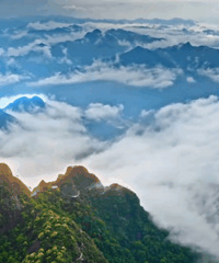 ���ɾӡ��̲���򡢵������йȾ�������̨����Ա�����