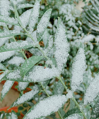 ��2020�����ܽ᡿��Ů˫ȫ����ĸ���彡����û����ϱì��