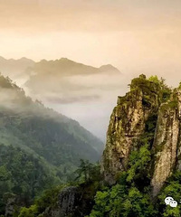 ���ſڵ�ɭ���� | �����½�������ɣ���������������