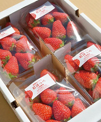 �������ѡ����ݮ��ÿһ��Ǯ�����뻨�ڵ�����