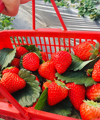 ��GLBSUV�Լ�.̨��֮�ǡ����⡢���졢�����̼��ı���·