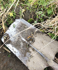 ������Сʱ��Ļ���