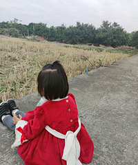 ��2020�����ܽ᡿�ر���ã��һ�꣬������˳��ö�����Զ����