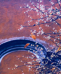 ����1��Ĺ�������÷���ڿ��ˣ���ĩ����һ�����㸡����