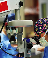 ��2020�����ܽ᡿��ĸ��ȥ���ۿƣ���·�Ѿͻ�������