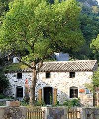 ̨������������ | �����������񻷣��ܣ������ʣ�