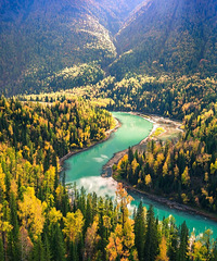 ���ʺ�һ�������е�15���ط������˾ͳ������߰�