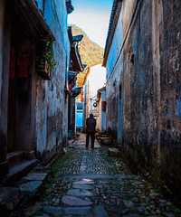 �����㽭������ŹŴ壡������800����