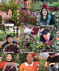 �Ա����������ӵ�ȷ�������ڿ���Ц��