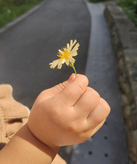 ��2020�����ܽ᡿С�ϰ���ƽƽ������һ��