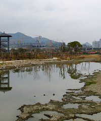 ��������ʪ�ع�԰ɹͼ�������о��ǡ����衱�׶�