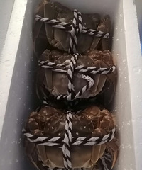 ��˾����Ӻ��ʴ���������˴�բз����Ҿ�����ô����