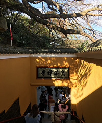 ��2020�����ܽ᡿�����������ڲ���һ������