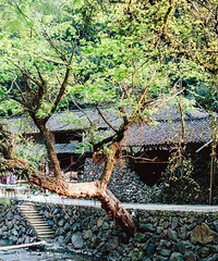 �ٺ��⼸��С�����ĹŴ��䣬������������Դ