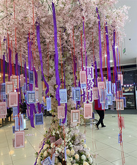 ̨�ݽ�������Ҫ��ʲô��������ʲô��