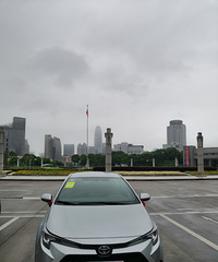 ����185T��ȡ��۸�11��+