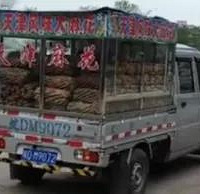 ��������ȫ�����������黨�����ﾹȻ�ع�С����