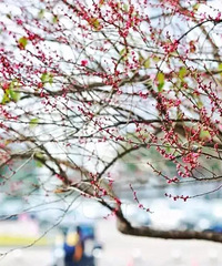 ̨����÷�أ��Ѿ������������