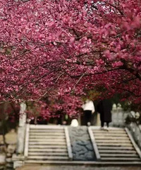 ̨����÷�أ��Ѿ������������