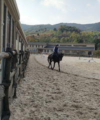 ��2020�����ܽ᡿+�������ף���ʱ����