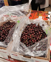 ���۸��᡿������100Ԫ10�����۸���ô����