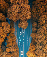 �����˼�������ã��й����Ҹ�����ƾʲô�Ǻ��ݣ�