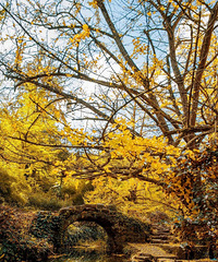 ��ܹ�����12�������������˾�ȥСס����