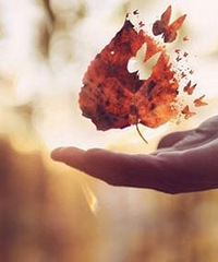 ��2020�����ܽ᡿�������ݣ�����Ϊ�ƣ�����3k+���������